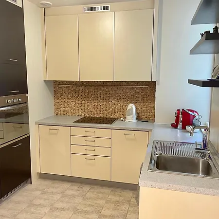 Huge Two Floor On The Park Colonnade With Free Parking For One Car, 160 Sqm Карловы Вары